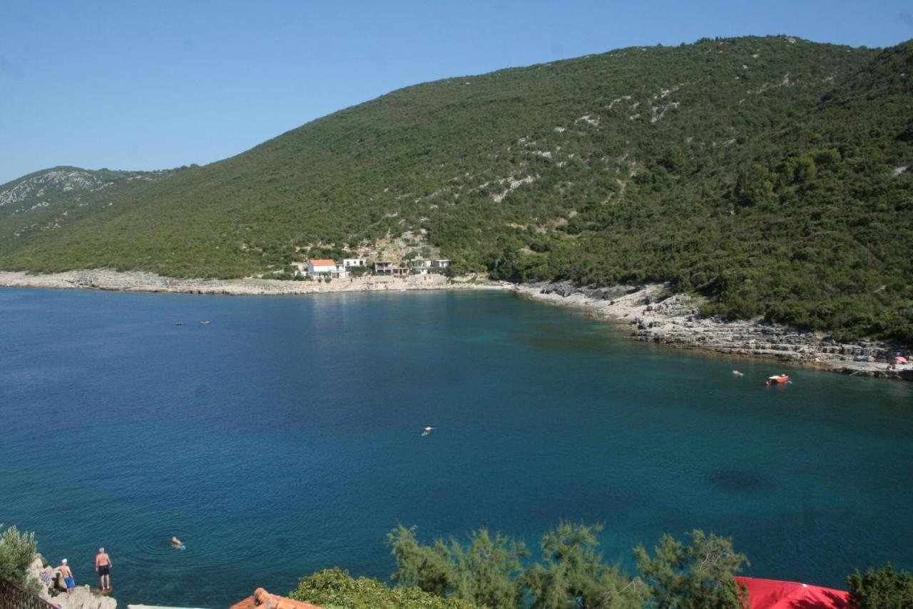 Apartment Zarace - Gdinj 4598A Dış mekan fotoğraf